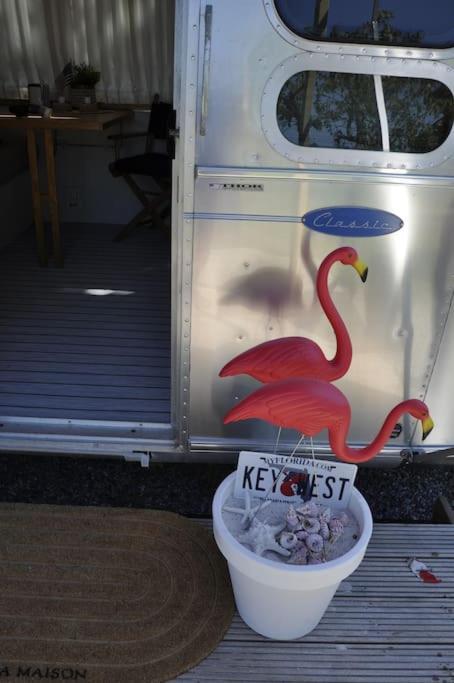 Airstream Retro Usa Caravan Earnewâld エクステリア 写真